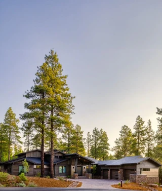 House in the forest